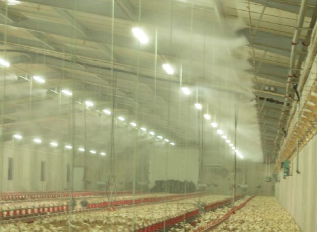 Misting system